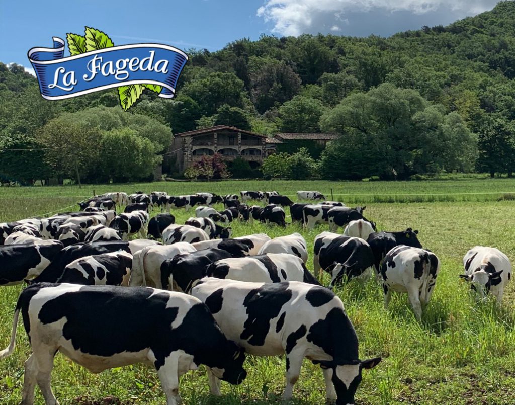 La Fageda i SERHS Distribució