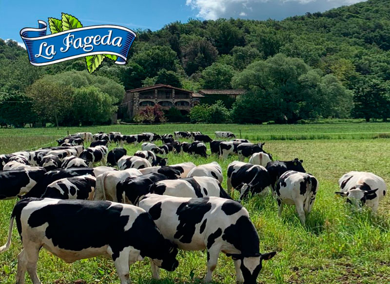 La-Fageda-i-SERHS-Distribució