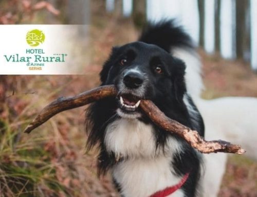 Vacances amb la teva mascota a l’Hotel Vilar Rural d’Arnes****
